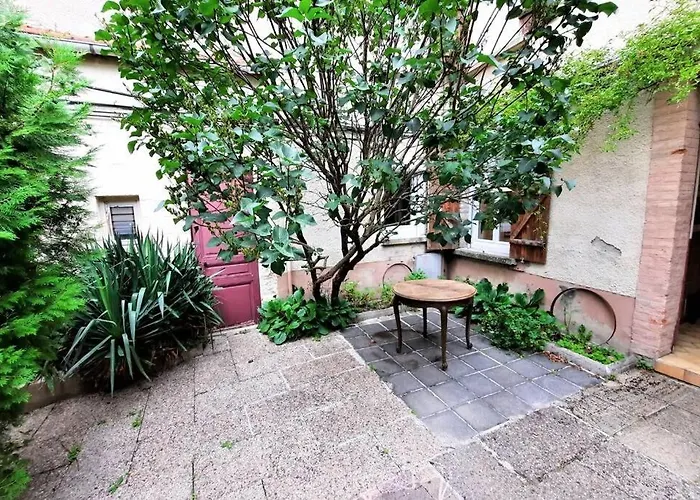 Grand studio confort avec extérieur