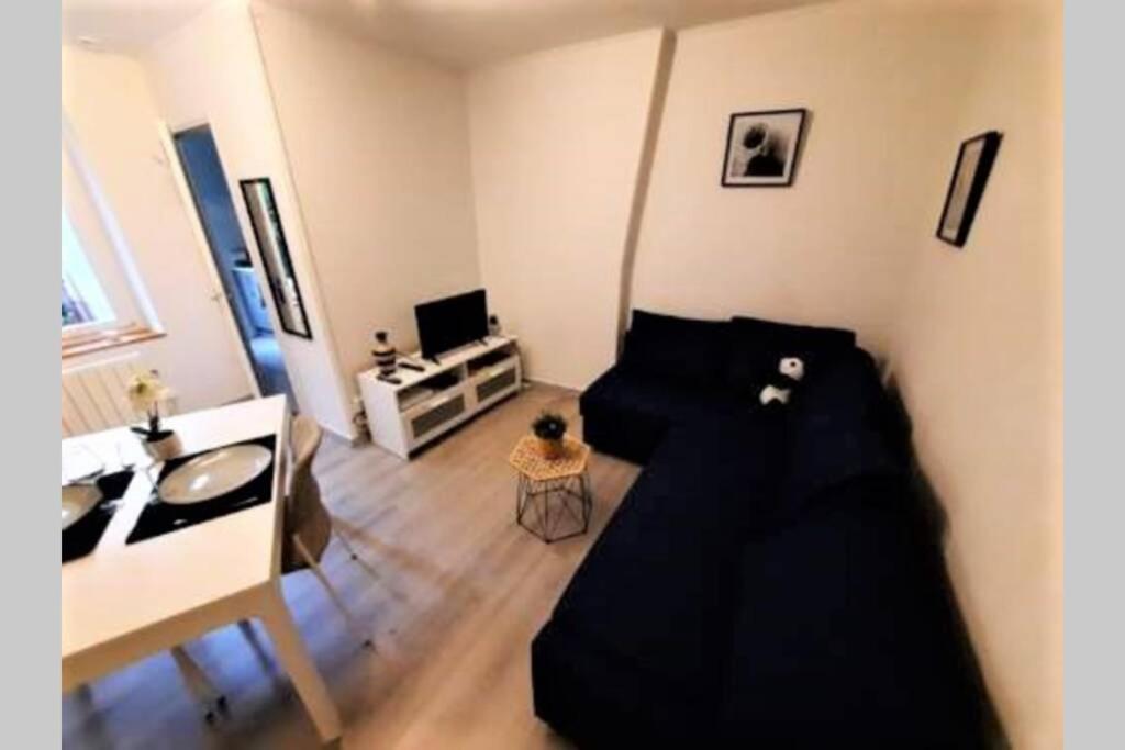Grand Studio Confort Avec Extérieur Appartement *